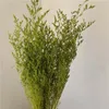 70g /35 ~ 42 cm verklig naturlig färsk bevarad valentin gräsblommor bukett, älskar gräs för alltid växtdansblomma för bröllop