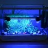 Lumières d'aquarium LED Affichage à pêche étanche à la lampe à clip sous-marine submersible lampe de décoration aquatique avec minuterie Auto ON / OFF D30