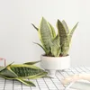 21cm-68CMartificial Tiger Piran Plants Tropical Plastic Long Leaves Flower Arrangement Material Hotel Office Desktop Home Deco