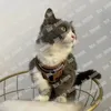 Giubbotti per animali domestici estivi abiti da cane designer di abiti da gatto animali domestici designer di giubboat f orsacchiotto abiti a strisce a strisce di lusso