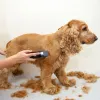 Düzelticiler Profesyonel Evcil Köpek Saç Kısırlı Şarj Edilebilir Saç Düzenleyicisi Düşük Gürültü Kesici Tımar Kedi