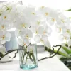 Белые 8 стеблей фалаенопсис орхидеи