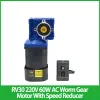 RV30 220V 60W AC Worm Gear Motor مع منظم السرعة ذات السرعة ذات السرعة