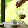 Японские теплостойкие теплостойкие стеклянные чайные чайники прозрачные чайники луча с фильтром кунг -фу чай
