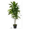 Flores decorativas Real Dracaena Planta Artificial Casos de telefonia verde para decoração em casa rosas pretas pompass grama a granel Wisteria han