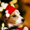 犬のアパレルサンタ帽子ポータブルクリスマスペット再利用可能な猫の帽子子犬の子猫用品の多機能コスチューム