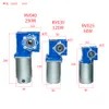 High-Torque DC Worm Gear Motor DC 12V 24V 90V 220V 120W/250W RV030 040 Växellåda DC Permanent Magnet Motor