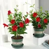 Supporto per piante in metallo Stand di palo in vaso in vaso pianta rampicante per verdure fiorite a forma fai -da -te Frana cardiaco rotonda