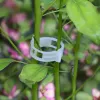 White Plants Stems Support Clip Reusable Tied Bundle Branch Clamp for Garden Tomato Vegetable Vine Twine Upright Make Fixed Ring