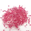 16g 1000pcs 2 mm 12/0 Red Clair Colorful Round Loose Spacer Perles CEZCH Perles de graines de verre