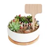 10pcs T-Type Bambool Plant Метки Экологически чистые деревянные растительные бирки садовые маркеры для семян трав с цветами инструменты 10*6 см.