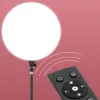 Lichter 10 -Zoll -LED -Fotografie Füllbeleuchtung, Stativständer Boom Arm Kamera Photo Studio Kreis LED Selfie Ring Light Phone Lampe Video