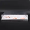 Schakel containers uit 5 PCS Cupcake Biscuit Party Accessoire Gift Case Bakery Grid Cookie Packing Supplies Clear Candy