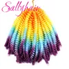 サリーヘアスプリングツイストかぎ針編み編組髪オンブル編組色色髪の合成ヘアエクステンション30 strands/pack 110gram