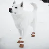 Köpek kıyafetleri 2 çift evcil kısa botlar dış mekan için kar kar ayakkabısı kış