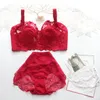 Women Bra Set Embroidered Underwear Female Bralette Sexy Lingerie Bra And Briefs Set Intimates B C D E F G 34 36 38 40 42 44 46