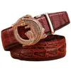 Ceintures Crocodile Alligator Belt for Men Luxury Strap Automatic Buckle Cowle Coue Geuthesine 2020 Designer de haute qualité Fashionc240410