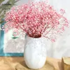 Natural Gypsophila Baby Breath Dried Flower Bouquet Valentine Day Gift Wedding Party Decoration bevarad Paniculata Heminredning 240409