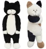 Japan Anime Cat Cartoon Toys Toys Giant Doll Cats en peluche doux Cadeaux pour enfants Friends Deco 50cm 70cm DY504125275611