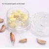 Чесночное прессование ручной пюре из чеснока вручную переработка пищевой кусочки фруктовые скручивание