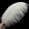 10-stcs/lot 10-12 inch Fluffy Soft Struisse veren Pure witte veer voor ambachtelijke struisvogelpluimen bruiloftsfeestdecoratie