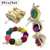 3pcs/set pet bird bites parrot climb toys hanging cockatiel parakeet swing cage bird toys pet bird toysギフト