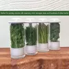 Butelki do przechowywania oszczędne do lodówki Butelka do ochrony warzyw Fresh Keeper Cilantro Parsley Preserver Warzywa