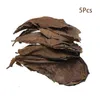 5/25 / 50pcs Catappa Natural Feuilles d'amande feuille de poisson Traitement de nettoyage d'aquarium