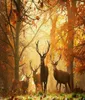 Troupeau de cerf de cerf à Sunrise Art Silk Print Poster 24x36inch60x90cm 0169025445