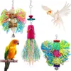 3 PCs/Set Bird -Kau -Spielzeug Papageien -Shredder -Spielzeug gebürstete Futtersuche Hanging Cage Toy