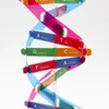 Popular Science Teaching Toys Human Gene DNA Double Helix Model Diy Biological Science Experimenteel onderwijsspeelgoed voor kinderen