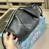 High Leather Bags Women's Loeew Ins Designer Bag Luxury Handbag Light Layer Hobo Tote Cowhide Handväskor Paseo 2024 D1WT