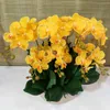 60 cm 2 grenar Artificial Flower Phalaenopsis Real Touch Orchid med blad Fake Flower Futterfly Potted Plants Home Decoration