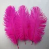 Belo Avestruz Feather 10 PCS Comprimento de penas de 6 a 8 polegadas / 15 a 20 cm de casamento para decorar uma variedade de cores opcionais