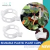 50 / 100pcs Clips de plante en plastique réutilisables Soutien Connexion pour les greffes de tomate légumes