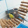 Loofahlove Pet Products Natural Large Corde en bois Swing Pet Bird Toys Training Training Hamster Parrot Parkeet Ladder Toy