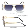 Sunglasses Rimless Cheetah Decoration Steampunk Sun Glasses Metal Double Beam Eyewear Retro Fashion UV400 Sunscreen