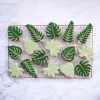 Nuevas hojas creativas de la jungla Molde en relieve de galletas Tortuga de palma de palma de palma Molde de plástico para fondant