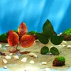 1 stc plastic kunstmatige betta blad vissen tank planten vissen aquarium aquatisch spel rust sier siers relax hangock warme decoratie