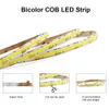 Tuya CCT Cob Strip LED Kit de luz Zigbee Wi -Fi Iluminação inteligente