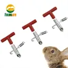 5/10 / 15pcs Overniers de mamelon de lapin Rodeurs Rodeurs Automatic Waterer Brinker Feeder Rabbit Wapple Nipple Bunny Farm ACCESSOIRES