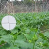 1.67x20m Garden Plant Trellis Net Heavy Duty Mesh Vine Landing Garden Weaving Grow Frame Vegetabiliska blomma Gurka klättring Net