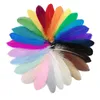 20Pcs Colorful Hard Stick Goose Feather 6-8inch/15-20cm Natural Swan Crafts Plumes Table Centerpieces Feathers for Decoration