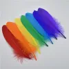 20Pcs Colorful Hard Stick Goose Feather 6-8inch/15-20cm Natural Swan Crafts Plumes Table Centerpieces Feathers for Decoration