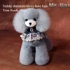 Crane Pet Verzorging Teddy Bear Mannequin Model Dog 1 Dog met 1 hele lichaam pruik 1+1 Kit Hoogwaardige professionele praktijkgebruik