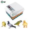 20 Huevos Incubator del hogar Pequeño plástico Bionic Bill Bed Incubator Automático Control de temperatura Incubadora de huevos