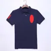 Men Polos Small Horse Polos T-shirts décontractés T-shirts beaux Polo Fashion Polo Men Hommes à manches courtes Multi couleur Solide Classic T-shirts Polo Chemise Designer Polos Brand T-shirt