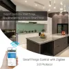 Zigbee 3.0 Smart Socket Wtyczka z 2 interfejsem USB Tuya Smart Life App Remote Voice Control SmartThings Echo Alexa Google Home