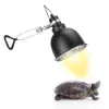 25/50/75W Reptile Lamp Pet Heat Lamp Bulb Turtle Basking Light Bulbs Amphibians Lizards Temperature Controller Heating Bulbs