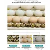 Plateau de virage à œufs, incubateur d'oeufs plateau de tourneur d'oeufs avec moteur à virage automatique pour écloser la caille de caille de canard de poulet (110 V)